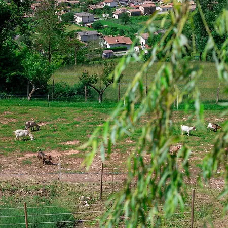 Farm stay Riva Dei Coz